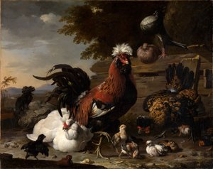 De vrede op het kippenhof door Melchior de Hondecoeter
