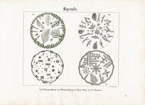 Kristalvormen van verschillende zouten door Meno Haas