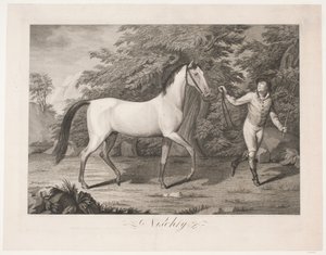 Het paard "Hesten Nischty" door Meno Haas