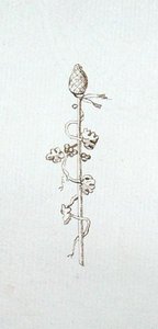 Tekening uit het plakboek van Michael Faraday door Michael Faraday