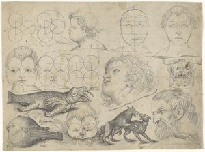 Studieblad met tekenvoorbeelden: figuren, dieren