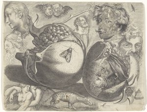 Studieblad met tekenvoorbeelden: koppen, figuren, vruchten, dieren