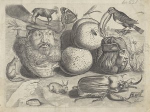 Studieblad met tekenvoorbeelden: portretten, dieren, insecten