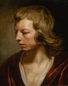 Studie van een jongen door Michaelina Wautier