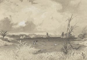 Het Pekmeer