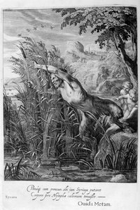 Pan achtervolgt Syrinx die in een riet verandert, 1665