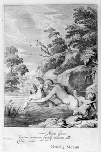 De nimf Salmacis en Hermaphroditus