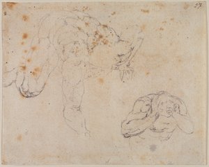 Kopie van het Laatste Oordeel door Michelangelo (after) Buonarroti
