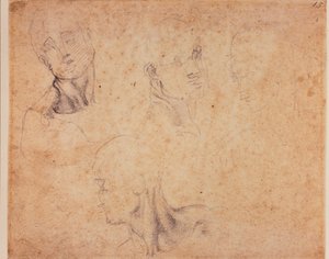 Vier mannelijke hoofdstudies door Michelangelo (after) Buonarroti