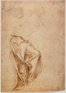 Gedrapeerde figuur