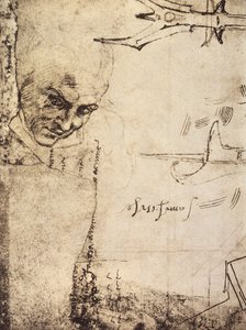 Gezicht door Michelangelo Buonarroti