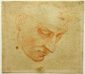 Hoofdstudie voor het plafond van de Sixtijnse Kapel, ca. 1509-1510 door Michelangelo Buonarroti