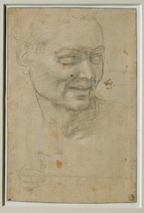 Hoofd en rechterhand van de Ignudo boven en links van Jesaja door Michelangelo Buonarroti