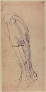 Beenstudie door Michelangelo Buonarroti