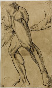 Benen en Voeten van Mannelijke Naakt door Michelangelo Buonarroti