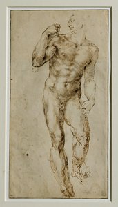 Mannelijk naakt, vooraanzicht, circa 1502-1506 ... door Michelangelo Buonarroti