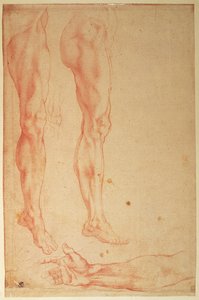 Studies van benen en armen door Michelangelo Buonarroti