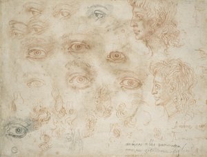 Studies van twee hoofden, c.1525 door Michelangelo Buonarroti