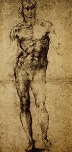 Studie voor een mannelijk naakt, Louvre Museum, Parijs