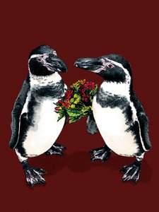 Jubileum Pinguïns op Roodoxide, 2020 door Mike Davis