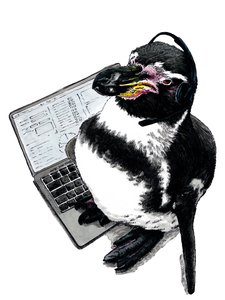 Nieuwe Baan Pinguïn op Wit, 2020