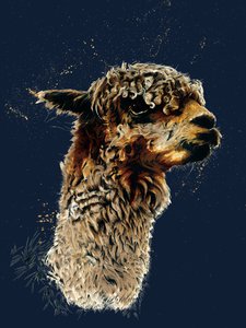 De Alpaca op Middernacht Blauw, 2020 door Mike Davis