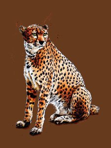 De Cheetah op Gebrand Oranje, 2020 door Mike Davis