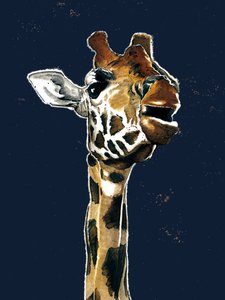 De Giraffe op Middernacht Blauw