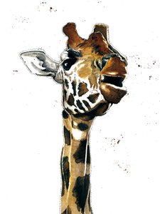 De Giraffe op Wit