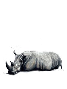De Neushoorn op Wit