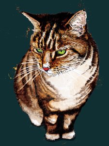 De Cyperse Kat op Diep Cyaan, 2020 door Mike Davis