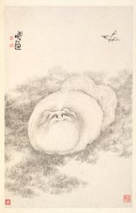 Kat en Vlinder, 1788 door Min Zhen