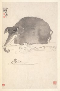 Olifant, Paard en Haas