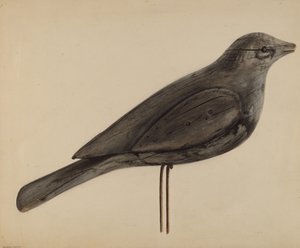 Lokvogel (meeuw) door Mina Lowry