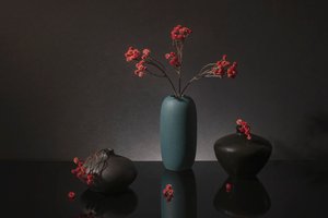  door Ming Chen
