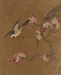 Tien afbeeldingen van vogels en bloemen (kleur op zijde)
