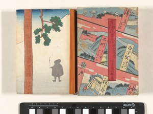 De 53 stations van de Tokaido en de Japanse Binnenzee door Mizushima Niou