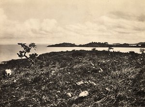 Het bouwen van een rijk in het fascistische tijdperk: Meer Tana. Ethiopië, 09/05/1936 door Modestino Baldinetti