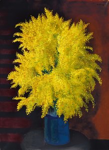 Boeket mimosa