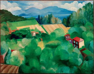 "Landschap van St. Tropez
