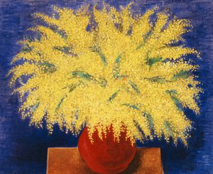 Vaas met mimosa