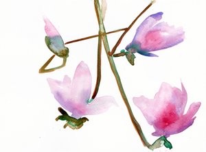 Magnolia 1 door Monica Perez Vega