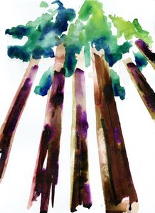 Sequoia, 2021 door Monica Perez Vega