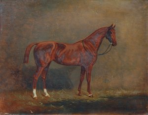 Portret van een Paard door Monogrammist A. G.