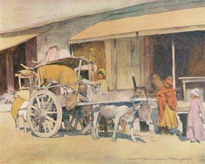 Een Ossenkar, Ajmere, 1905