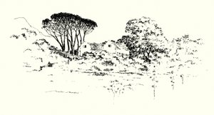 Boerderij van Cecil J Rhodes door Mortimer Ludington Menpes