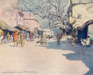 Middag, Jeypore, 1905