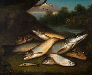 Vis, 1790