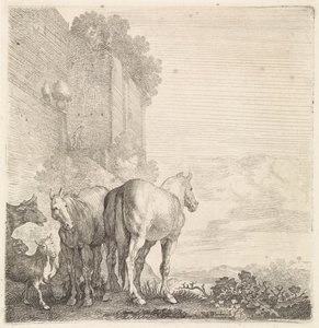 Twee paarden met geiten en een koe bij een hoge (stads)muur