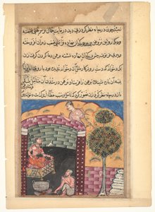 Pagina uit Verhalen van een Papegaai (Tuti-nama): Zevende nacht: De Brahmaan gokker ziet de dochter van de koning van de djinns in een put samen met een oude man en een ketel met kokende olie, ca.1560 door Mughal School